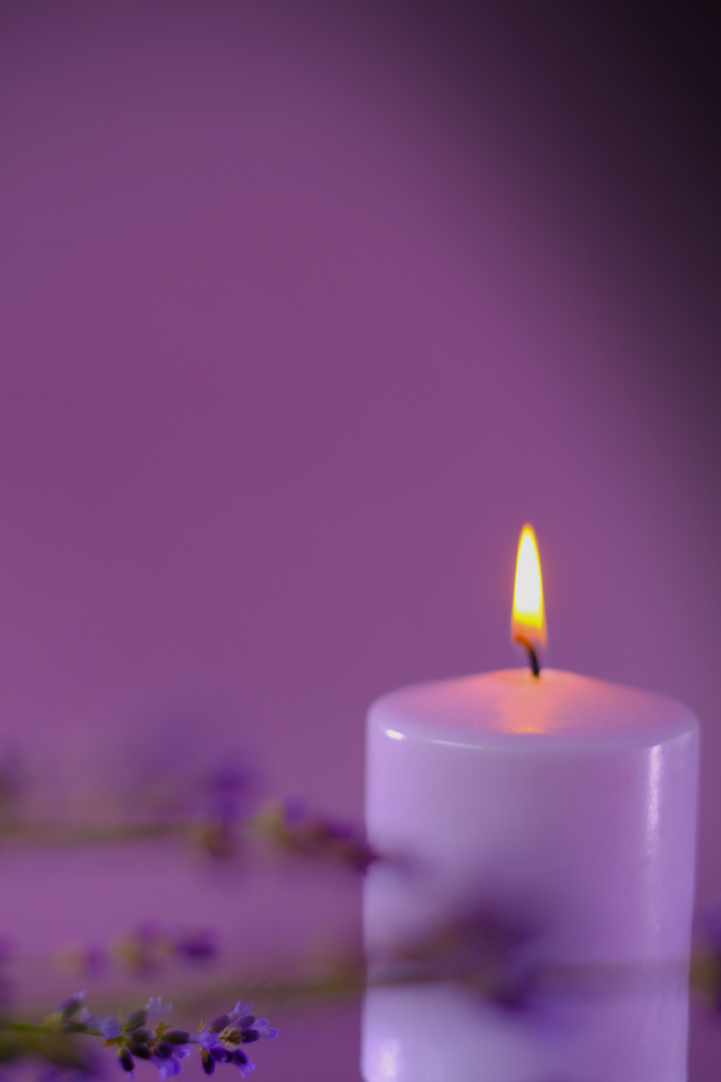 EFH LONG 1 (800 x 1200 px)