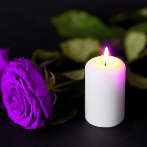 EFH PC2 (500 x 500 px)